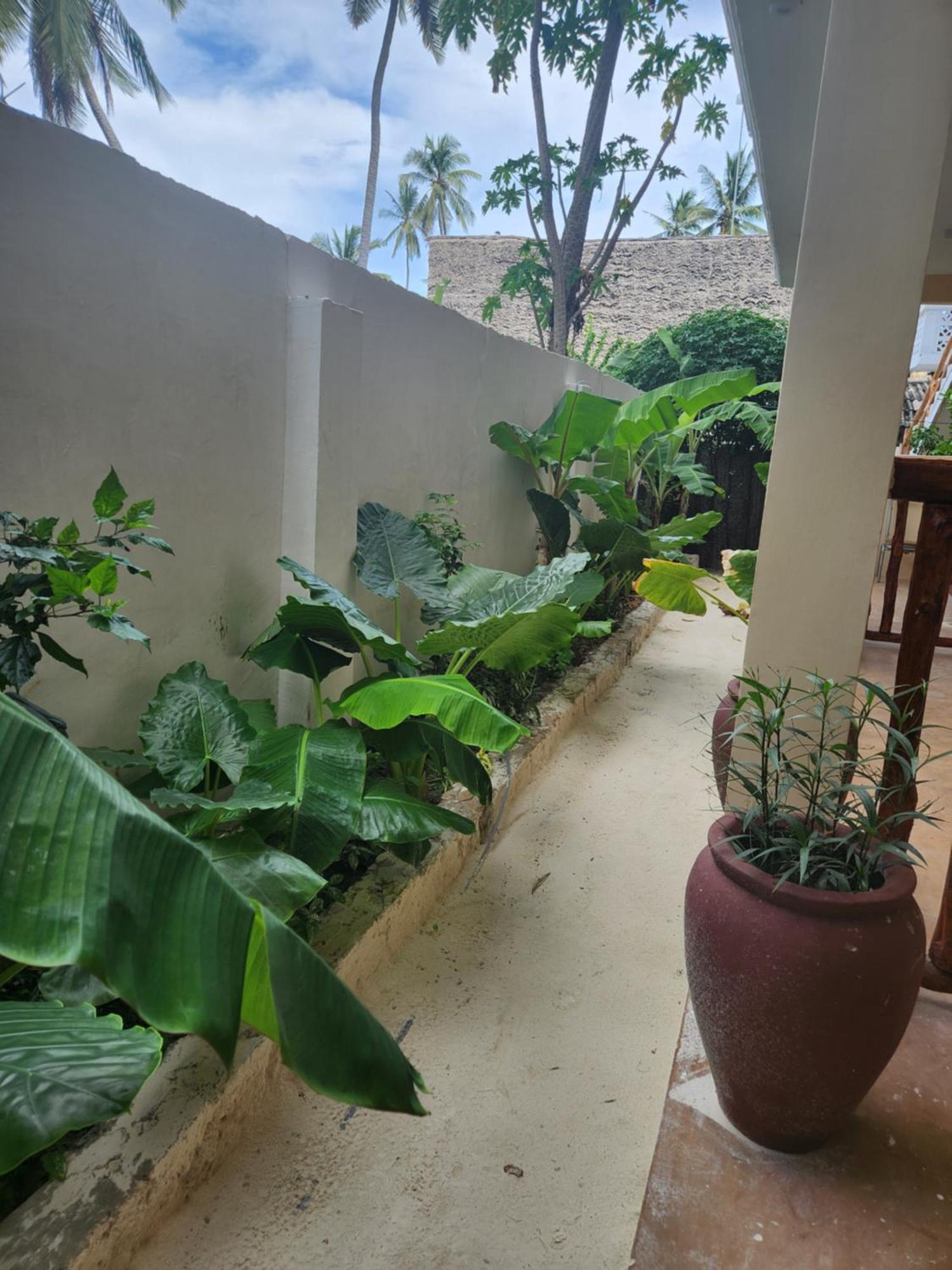 Two Palms Hotel Jambiani  Buitenkant foto